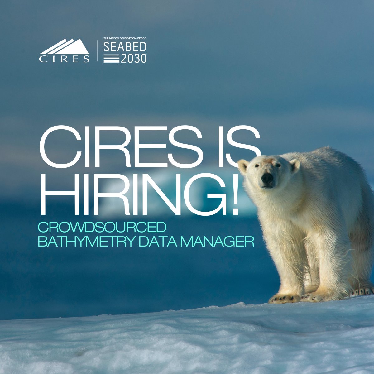 seabed2030's tweet image. 📝 Here’s an exciting opportunity for a scientist in the #hydrospatial sector looking to take the next step in their career.
The CIRESnews at the University of Colorado, Boulder, is looking for a crowdsourced bathymetry data manager with experience working with marine datasets.