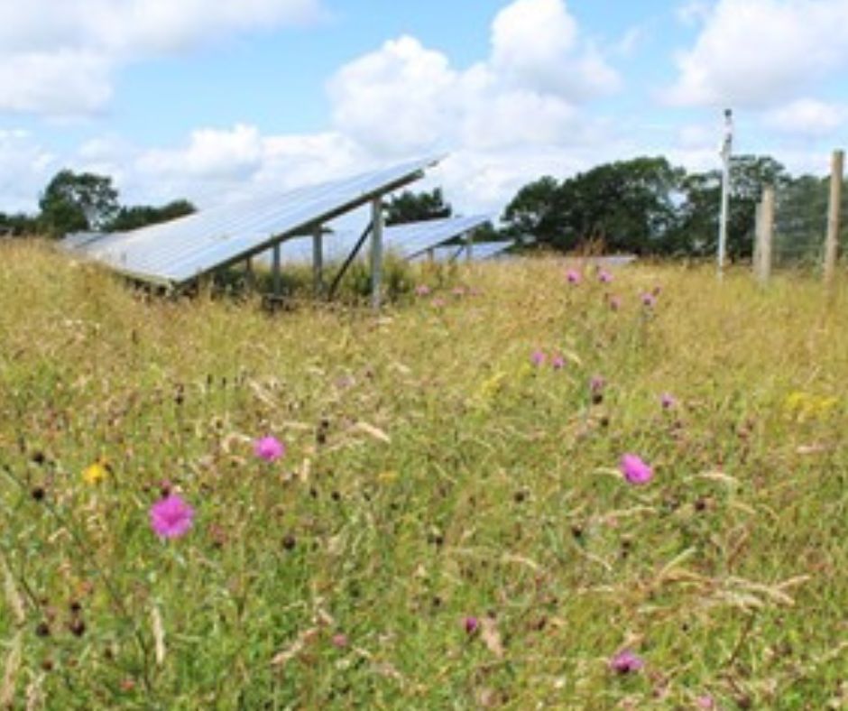 B&WCommunityEnergy tweet media