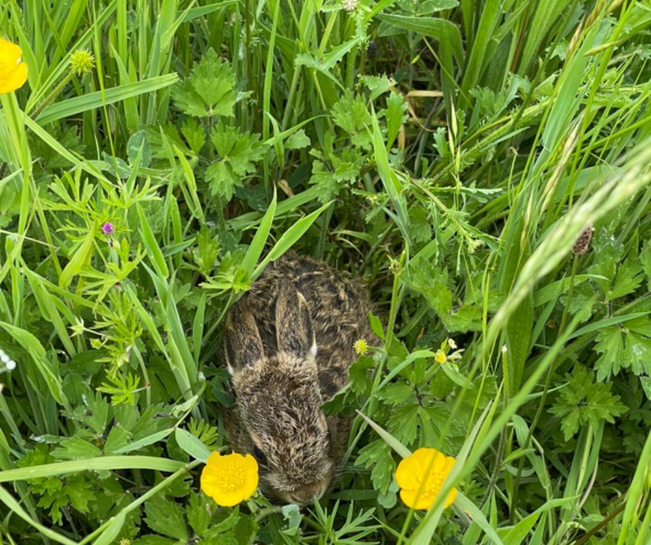 B&WCommunityEnergy tweet media