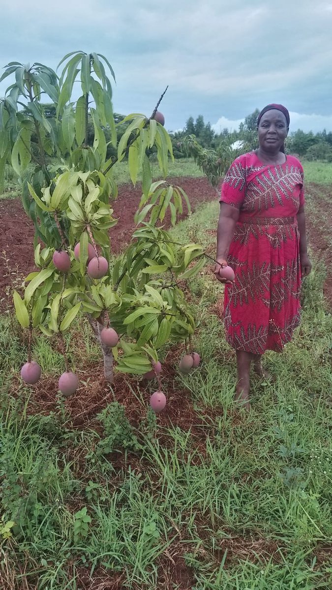 One Vision Kenya tweet media