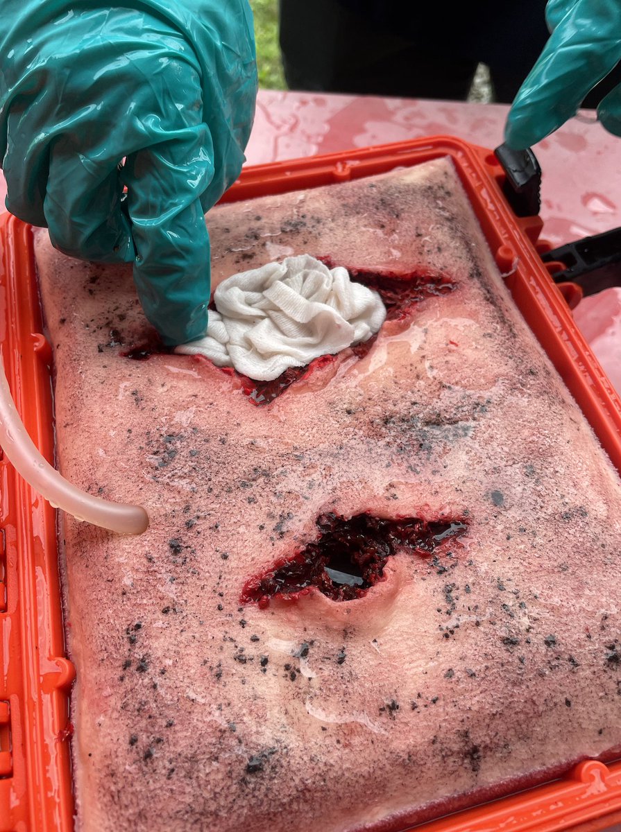 As part of an upskilling effort, 14 CAT Walk leaders gained Wilderness and Austere First Aid certification with 1 leader gaining Austere First Responder certification. The x3si courses were intensive, highly instructive, hands-on and highly recommended. Link in bio for details.