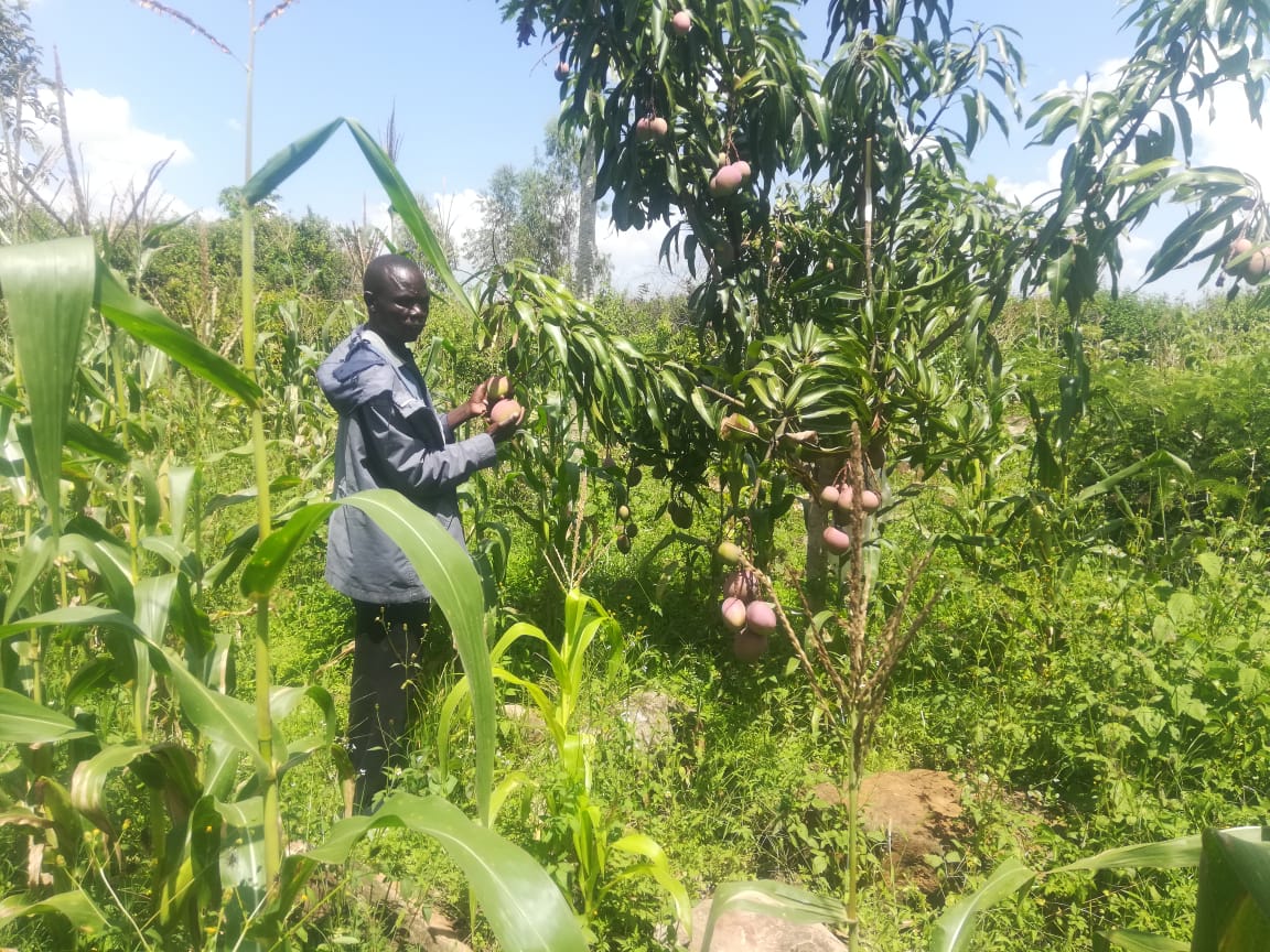 One Vision Kenya tweet media