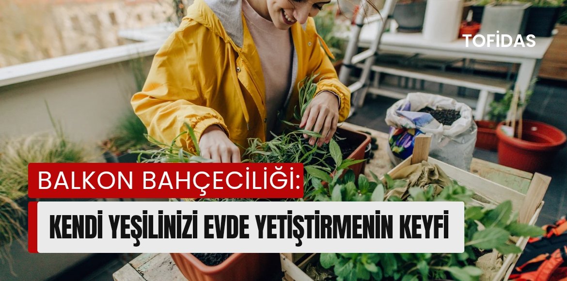 TofidasCom's tweet photo. Balkon Bahçeciliği
https://t.co/h5b15uKV4P https://t.co/MDax95Pw1S