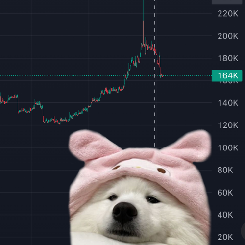 snowy__cto's tweet photo. TG is being made, at 200k we will update DEX to CTO and add the telegram group <3

~ $SNOWY https://t.co/pKEa81yfc6