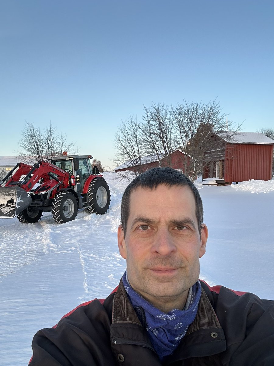 White Christmas it is.