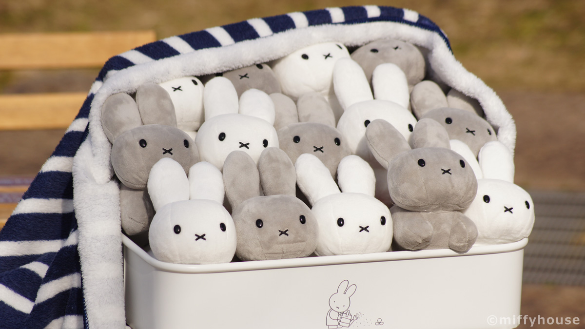 miffyhouse_info's tweet photo. うさぎさんはなんぼあってもいいですからね

 https://t.co/w3qYH48CEU https://t.co/jgF4el2W1V