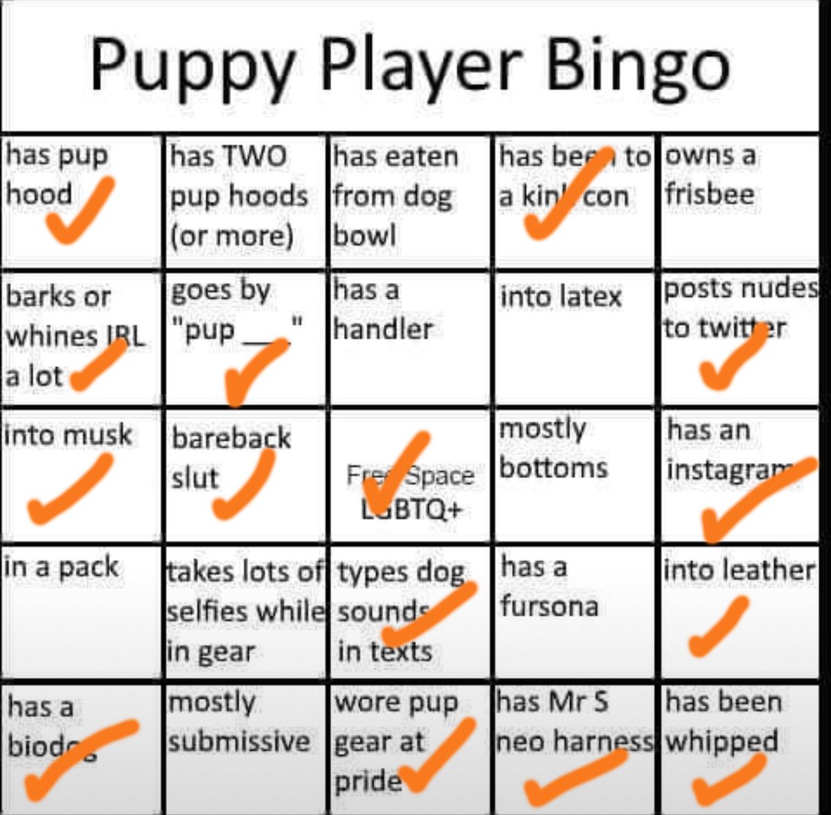 Pup Kaiden (@Pup_Kaiden) / Posts / X
