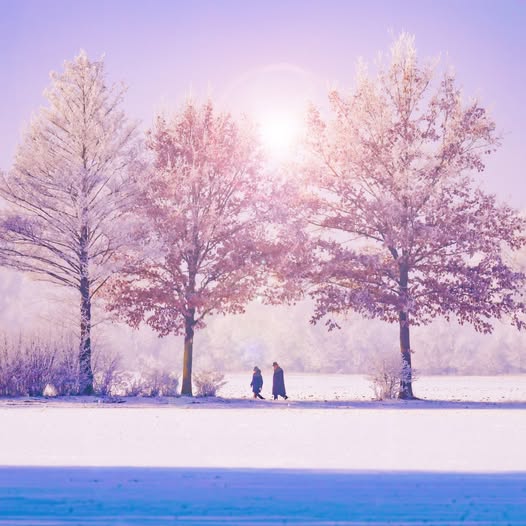 YourSpeech tweet media