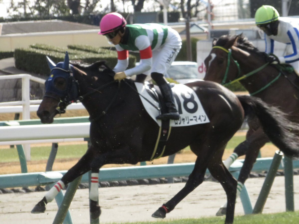 新馬戦の激走から気になってたロジャリーマイン

しかし当日パドック、素人目にもわかるくらい元気がない？ラジオ解説者も寂しく見えると推奨馬に上げない

しかし、川田騎手が騎乗した瞬間、間違いなく馬に火が点いたように見えた

結果は快勝！おめでとう！！！

#ロジャリーマイン
#川田将雅