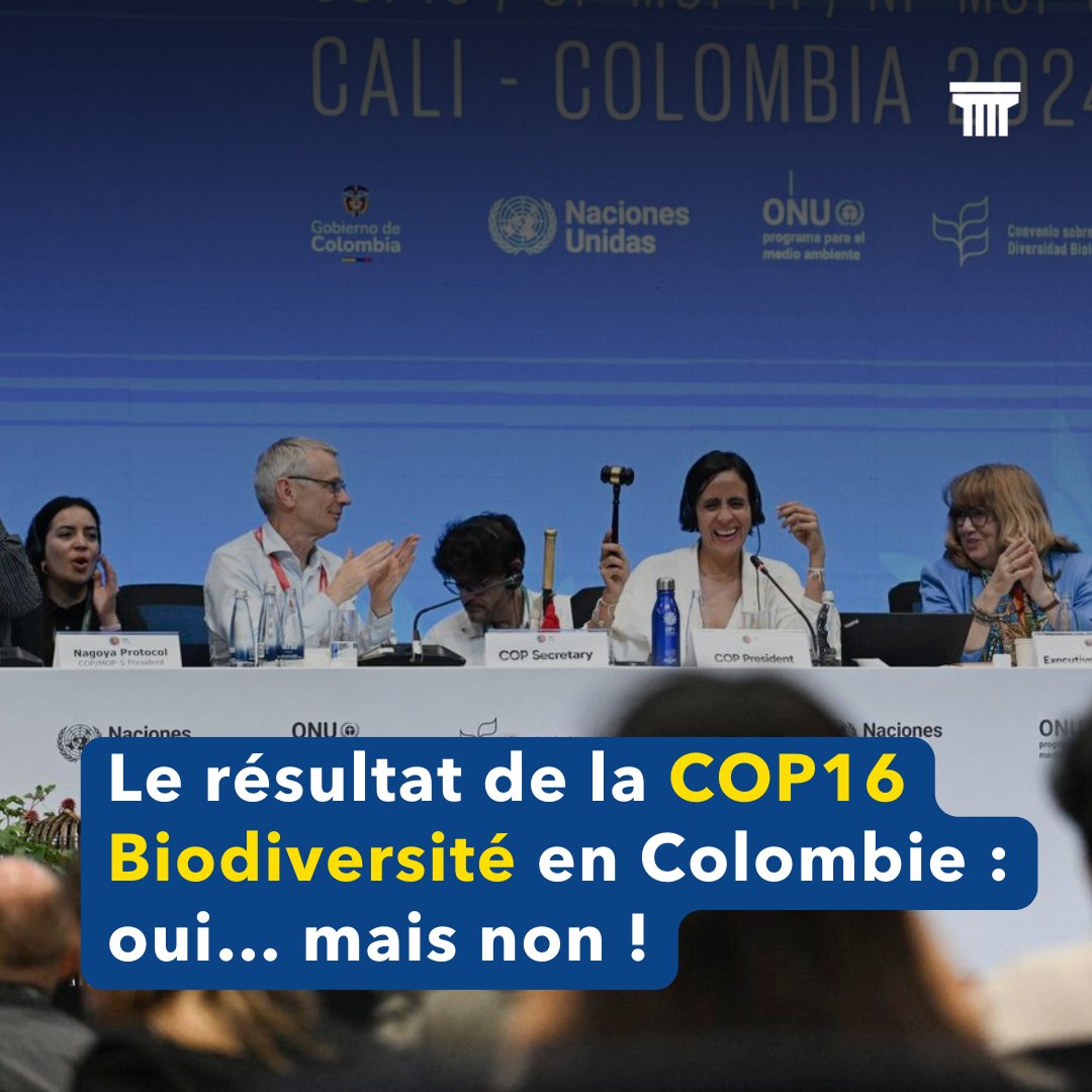 « Passer des mots à l’action » : telle était la grande ambition de la #COP15 #Biodiversité à Cali ! Alors, promesse tenue ?

La réponse dans la dernière note de Laurent Dicale pour l'Institut Rousseau 👉 lnkd.in/eEfq6ScR