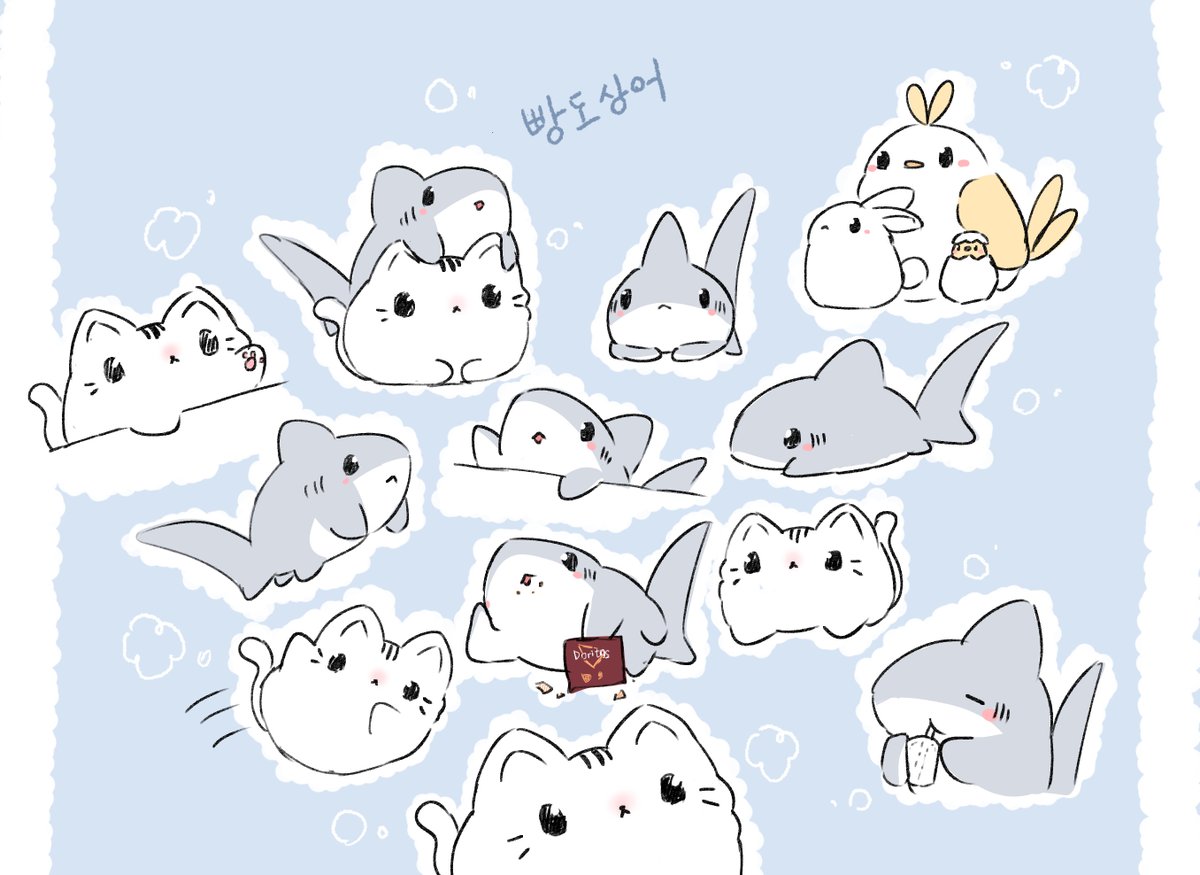 이번 서코에서 느낀점

빵도상어가 빵냥보다 더 인기 많타..☁️☁️ 