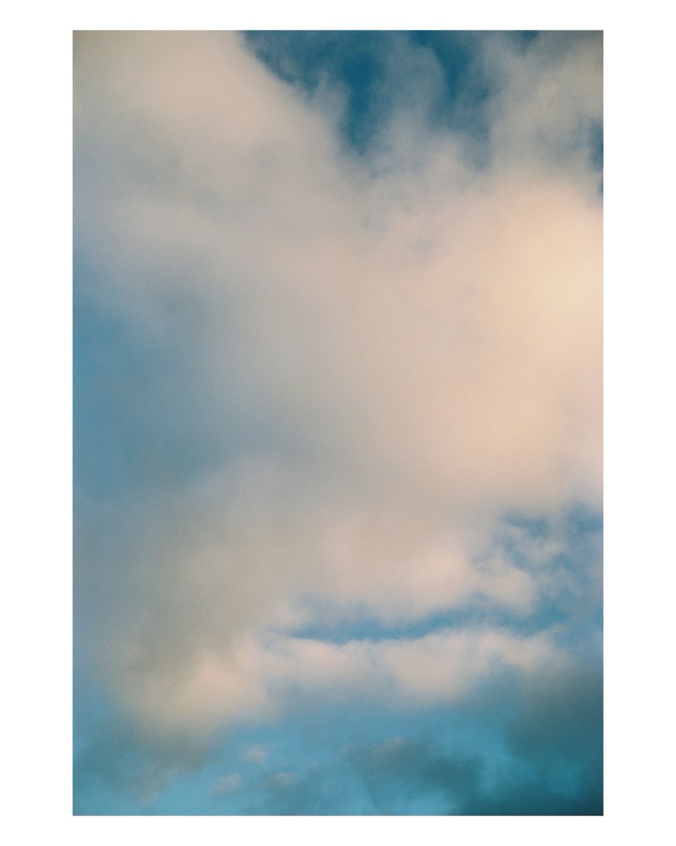 ksaweryoroczko's tweet photo. Beach I, 6x17, 6x9
#analogphotography #filmphotography #analogfilm #kodakgold200
#analogcamera #newzealand #6x17 #nobledesign #fujigw690iii #6x9 #auckland @kodak @fujifilm_ch
Developing and scanning at @theblackandwhitebox https://t.co/q5GEvbsRvm