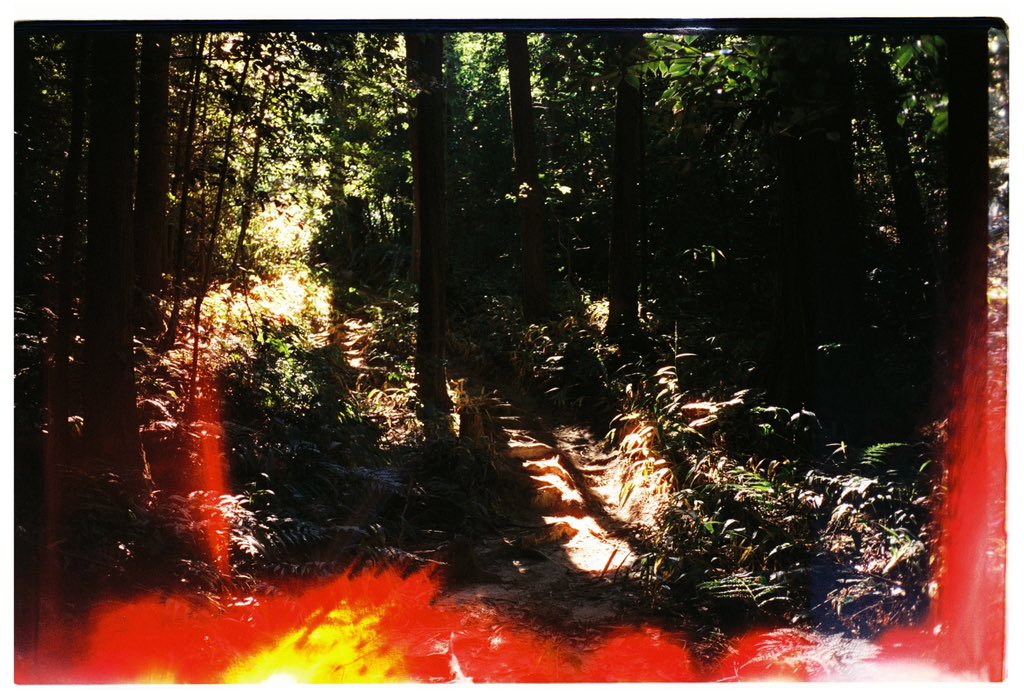 Гм🚞
-
I assume that due to the holidays, this Monday is unlike most during the year - at least for work and school it’s more like a weekend… is this true for you? For me it’s 100% the case since I’m now on a train somewhere between Austria and Hungary and on my way towards an