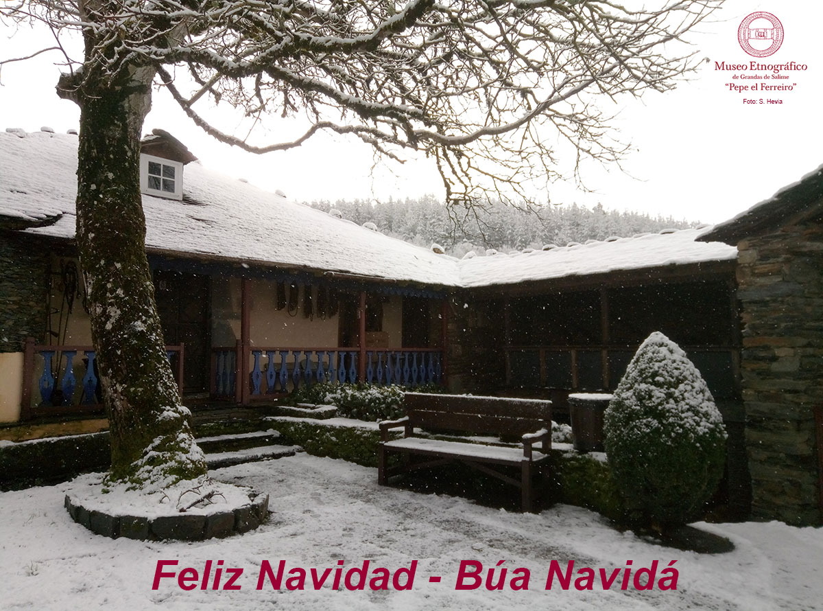 🎄 ¡Feliz Navidad! El Museo cierra los días 24 y 25 de diciembre. Abrimos de nuevo el día 26.

🎄 ¡Búa Navidá! El Museo pecha os días 24 e 25 de decembre. Abrimos de novo el día 26.