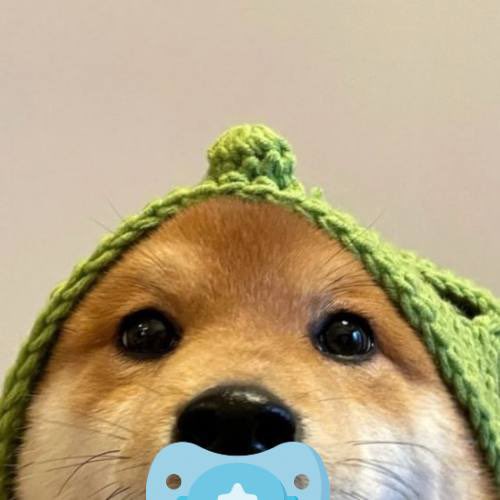 BUY_BABYLOU's tweet photo. @PulseSocialFi WE ARE PUSHING $BABYLOU 🍼 TO NEW HEIGHTS TODAY 

CTO - JOIN THE TELE HERE: https://t.co/uyrlBoHMcB

KQCRDA1rYywcnA8EDEJ8D1fYwL9fbJeiNwEhVaypump 

WE ARE PREPARING TO MOON TODAY🚀👹 https://t.co/Hf0gsdpUNJ