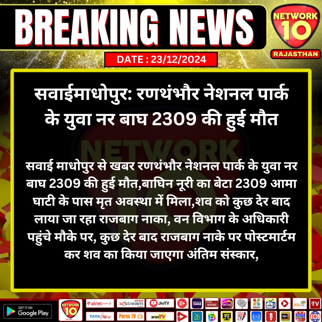 #सवाईमाधोपुर: रणथंभौर नेशनल पार्क के युवा नर बाघ 2309 की हुई मौत

#Rajasthan #TodayNews #LatestNews #LatestUpdates  #Network10  #SawaiMhadhopur #NewsUpdates