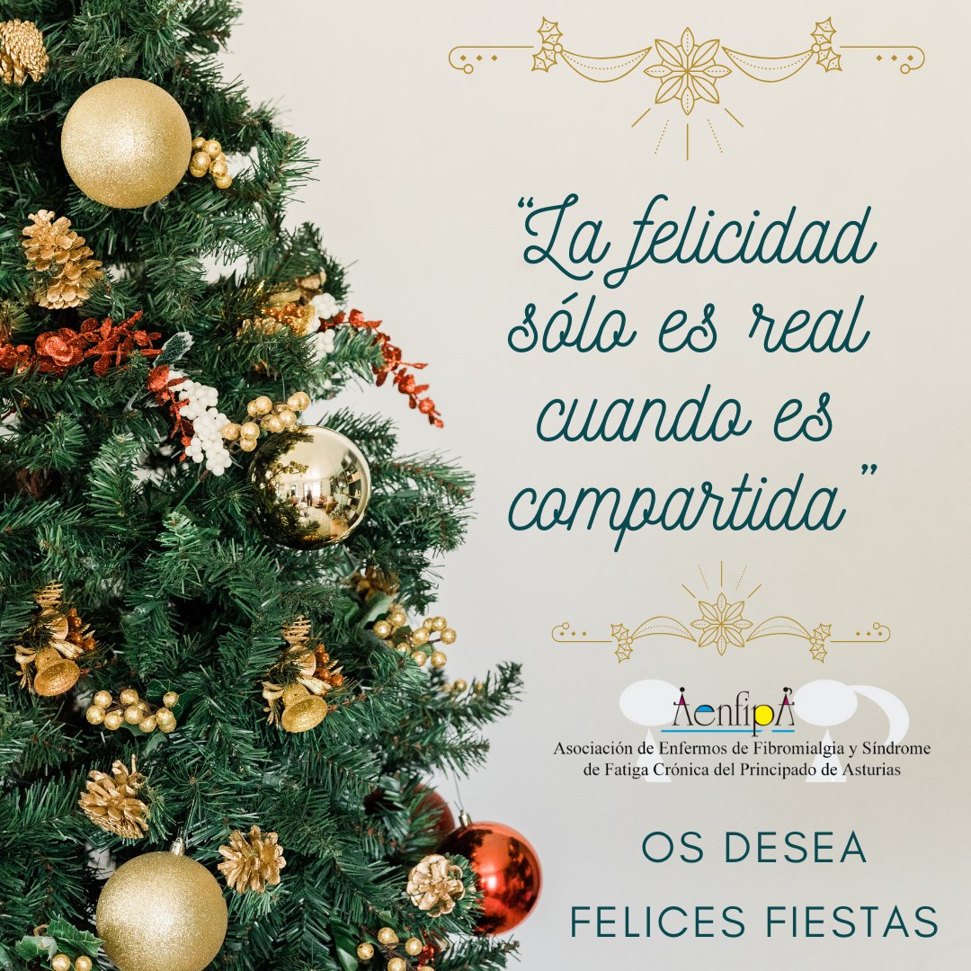 Todo el equipo de Aenfipa, os desea felices fiestas.