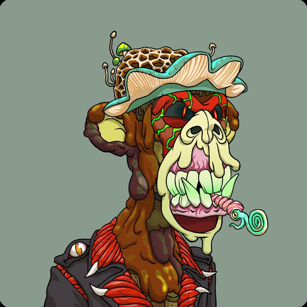 NFTJoogin's tweet image. GM BRUV 

#CryptoZoo