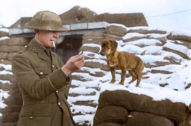 Wishing all our followers a Merry Christmas and a Happy New Year. Your support is Greatly Appreciated by us all at The Pompey Pals Charity, we have a number of Commemorative Events arranged for 2025 and look forward to meeting you all during the course of the  new year.