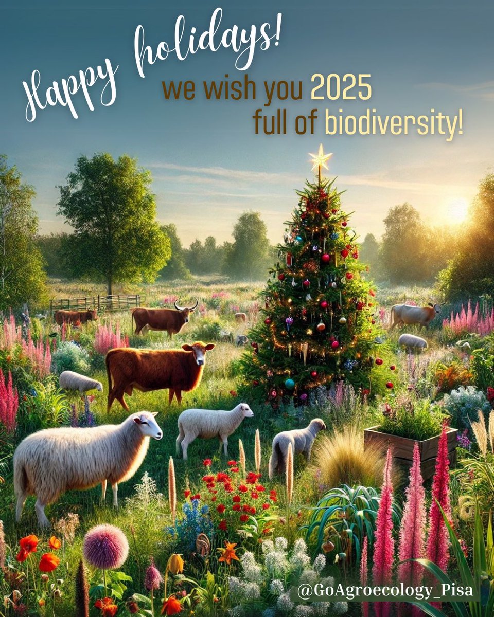 GoAgroecology's tweet photo. We wish you 2025 full of #biodiversity 🎄 https://t.co/VkPtxQxJEd