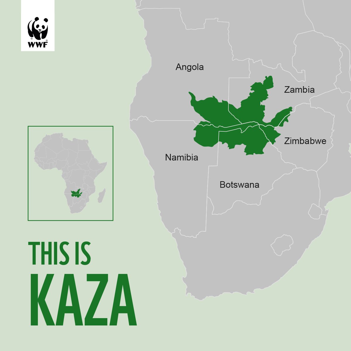 WWF Africa tweet media