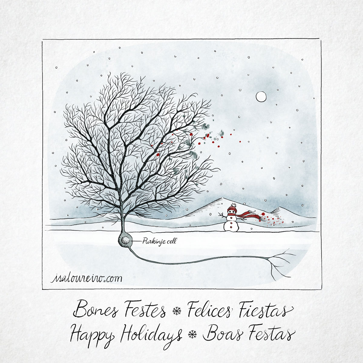 Felices Fiestas ilustrando la ciencia!!
Pasa un año más, lleno de proyectos y colaboraciones que me hacen crecer, aprender y disfrutar de cada momento. Con lápiz en mano y nuevas ideas en la cabeza, lista para seguir este camino contigo y crear bonitas ilustraciones científicas.