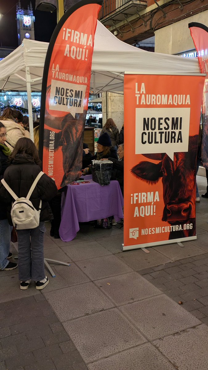 NoEsMiCultura tweet media