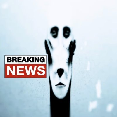 In the next few years, aliens will come down onto earth in an attempt to deliver us the next revolutionary technology - memecoins! 

To their surprise, they'll find that memecoins already exist - and they want to invest expeditiously.

What coin do you think they'll buy first?