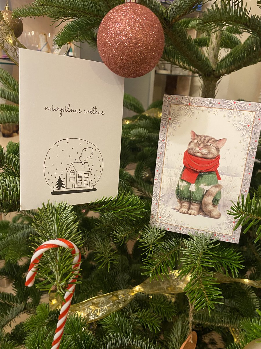 Vivita Dzērve tweet media