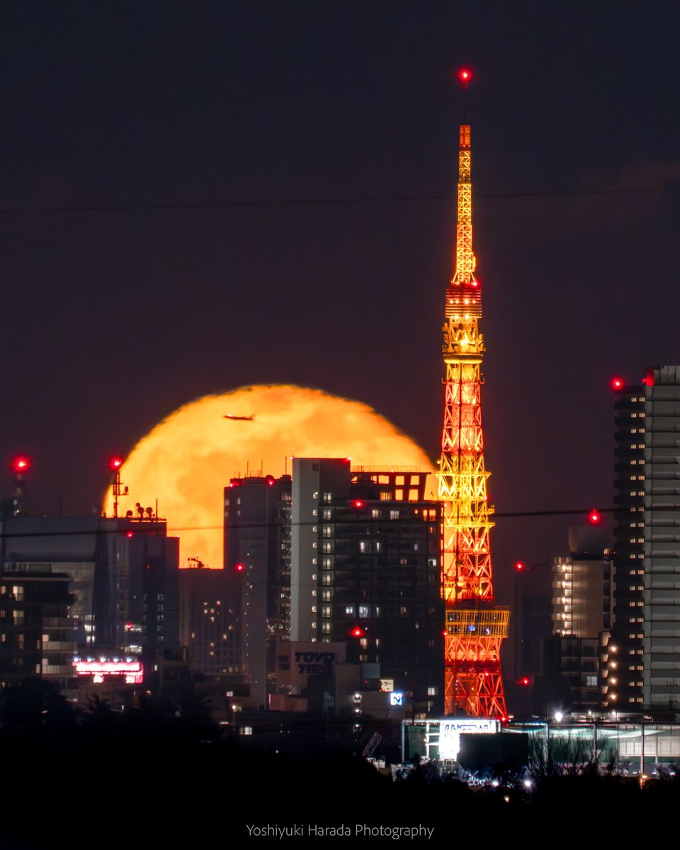 #今年一番気に入っている写真を貼れ

go to the moon!!

奇跡的タイミングでお月様に飛行機が飛び込みました