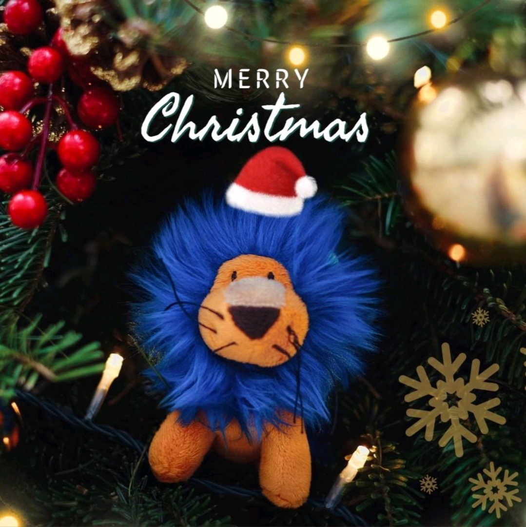 Matthias G. Wacker tweet media