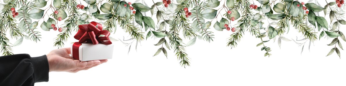 Frohe Weihnachten! Ich wünsche Euch schöne Feiertage und uns allen mehr Frieden in dieser Welt 🕊️.