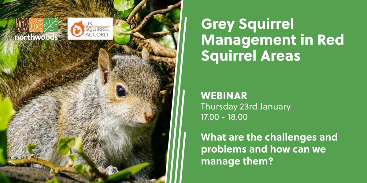 Northwoods Woodland Management (@northwoods_wm) on Twitter photo Three upcoming Northwoods webinars with <a href="/SquirrelAccord/">UK Squirrel Accord</a> and Sylva Foundation. Sign up here: eventbrite.co.uk/o/northwoods-5…
<a href="/ForestryComm/">Forestry Commission</a> #woodlandmanagement Three upcoming Northwoods webinars with <a href="/SquirrelAccord/">UK Squirrel Accord</a> and Sylva Foundation. Sign up here: eventbrite.co.uk/o/northwoods-5…
<a href="/ForestryComm/">Forestry Commission</a> #woodlandmanagement