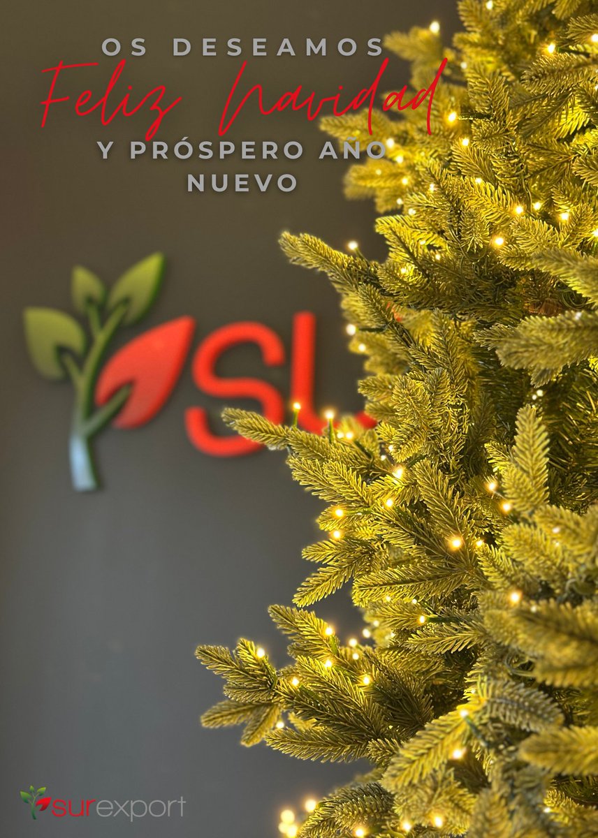 Que la magia de la Navidad nos siga inspirando para crecer juntos. ¡Gracias por ser parte de este gran año!