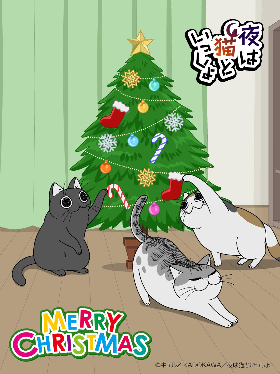 Christmas nights with a cat