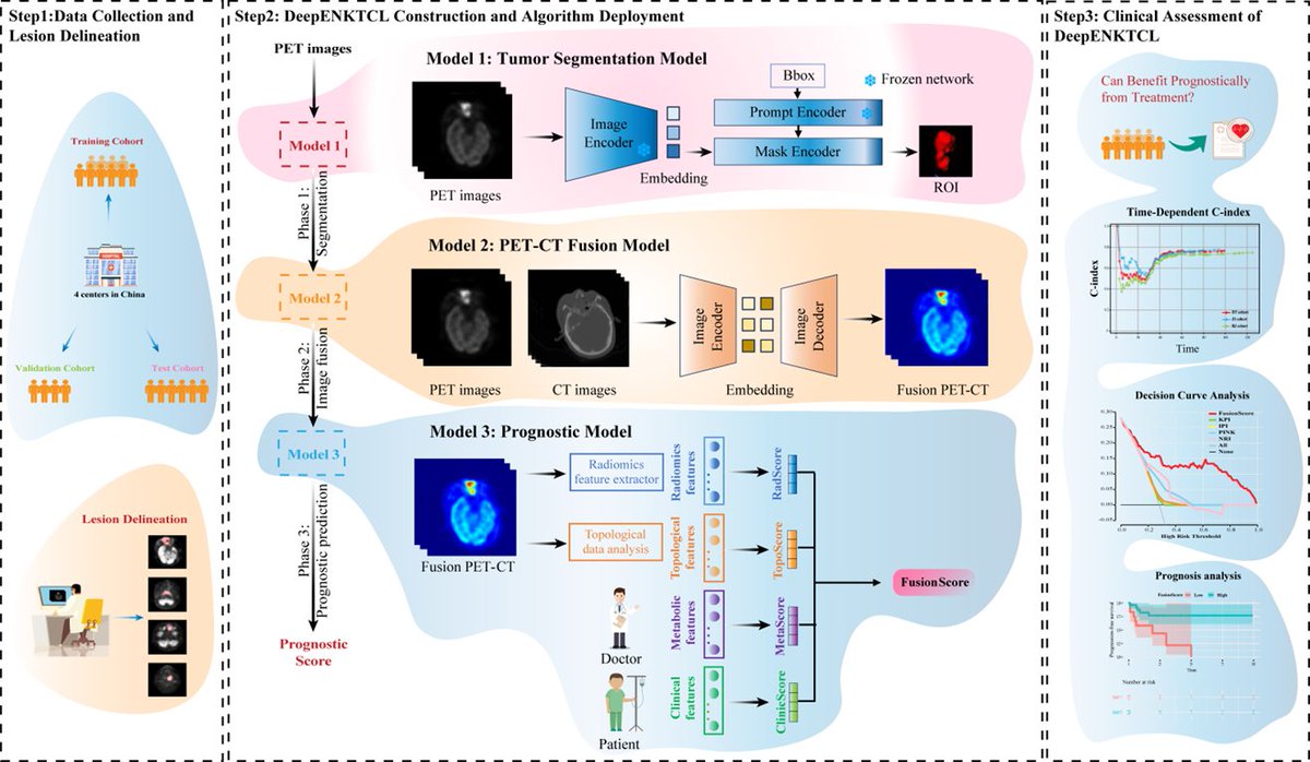 zekun_jiang's tweet photo. Our new work "Robust and interpretable deep learning system for prognostic stratification of extranodal natural killer/T-cell lymphoma" was published in the European Journal of Nuclear Medicine and Molecular Imaging. https://t.co/PKSQ4H6jJs https://t.co/I0exlnAw1X