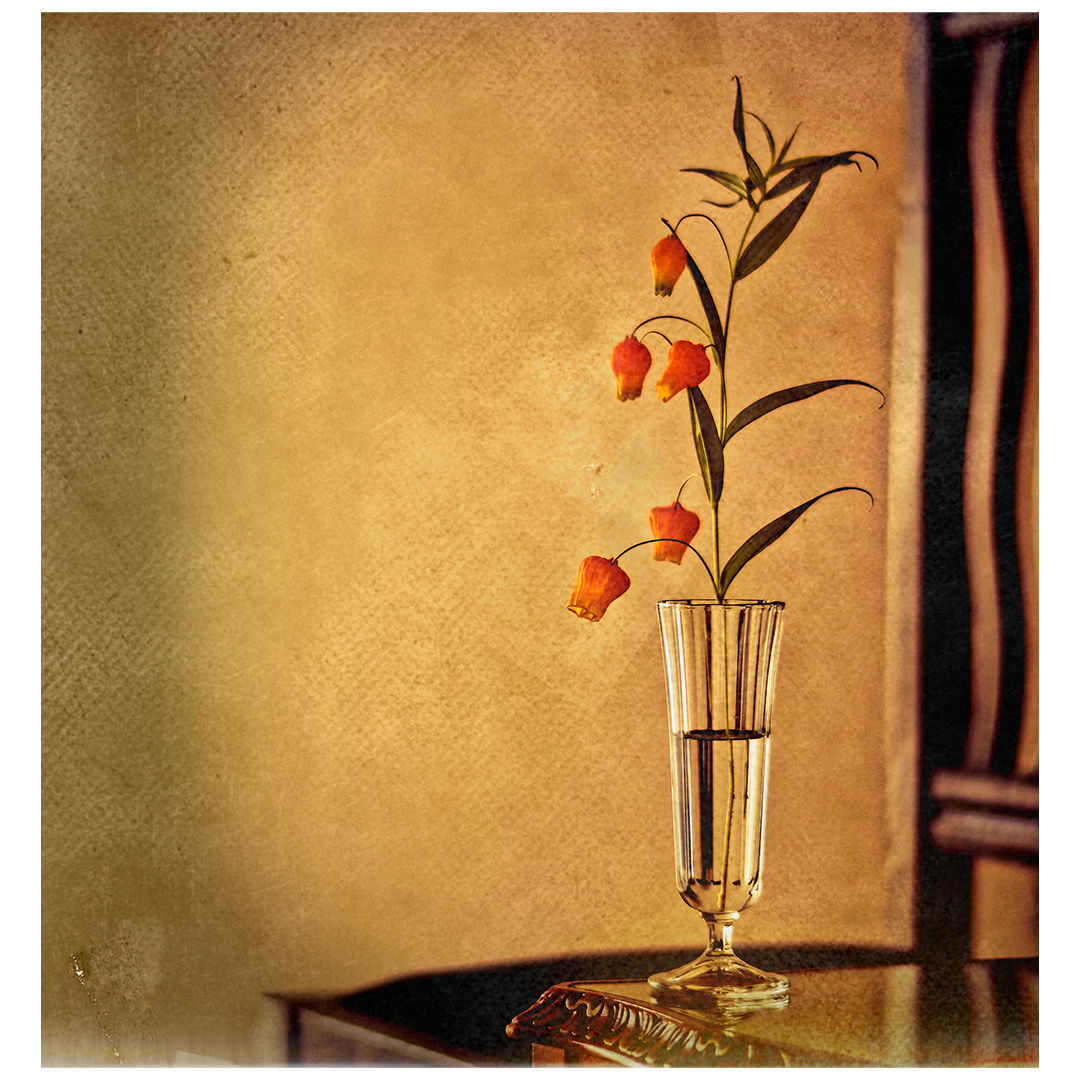 ― Lanterns Harmony ―
Things that endure across time, things that fade away..

▼ My Portfolio
1x.com/NaoakiMiyamoto

ⓒ2021 Naoaki Miyamoto // 宮本 尚昭

#photography
#photographer
#fineartphotography
#professionalphotographer
#photo #art
#artwork #photoartist
#artcollector