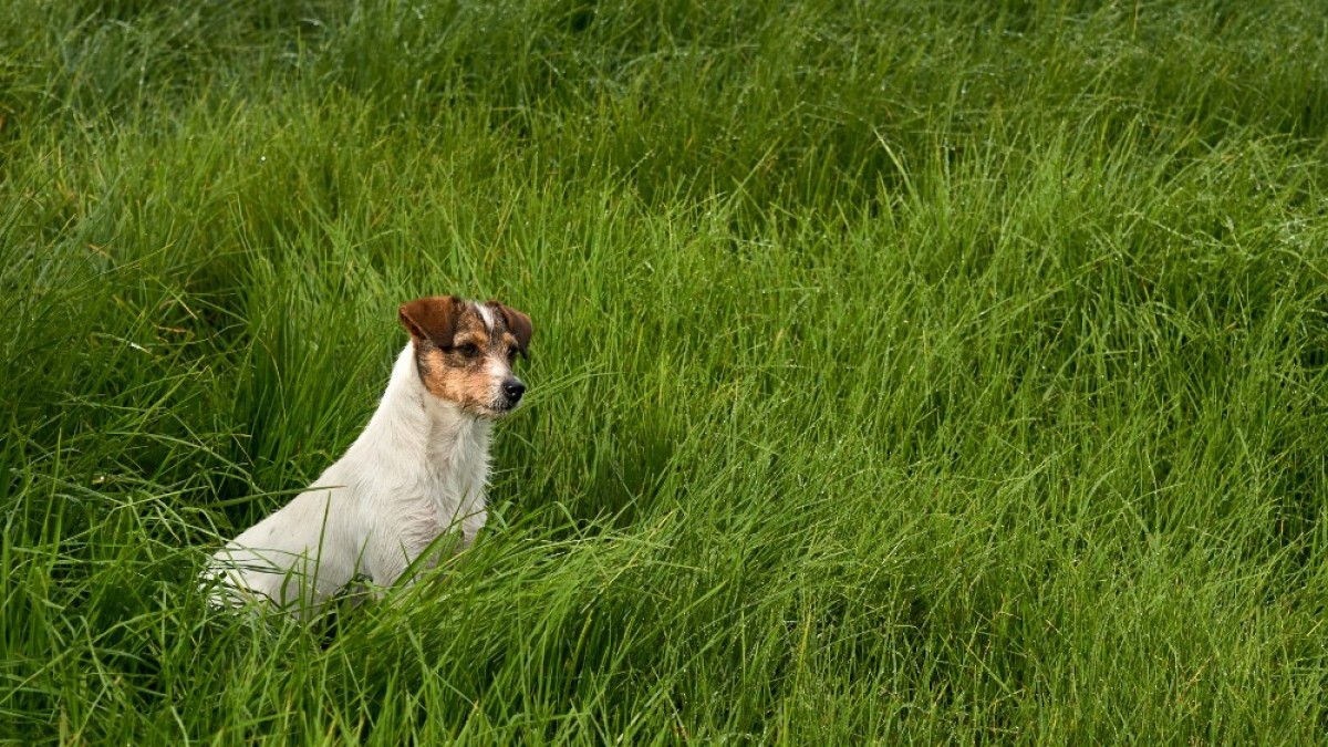 Revista Argos tweet media