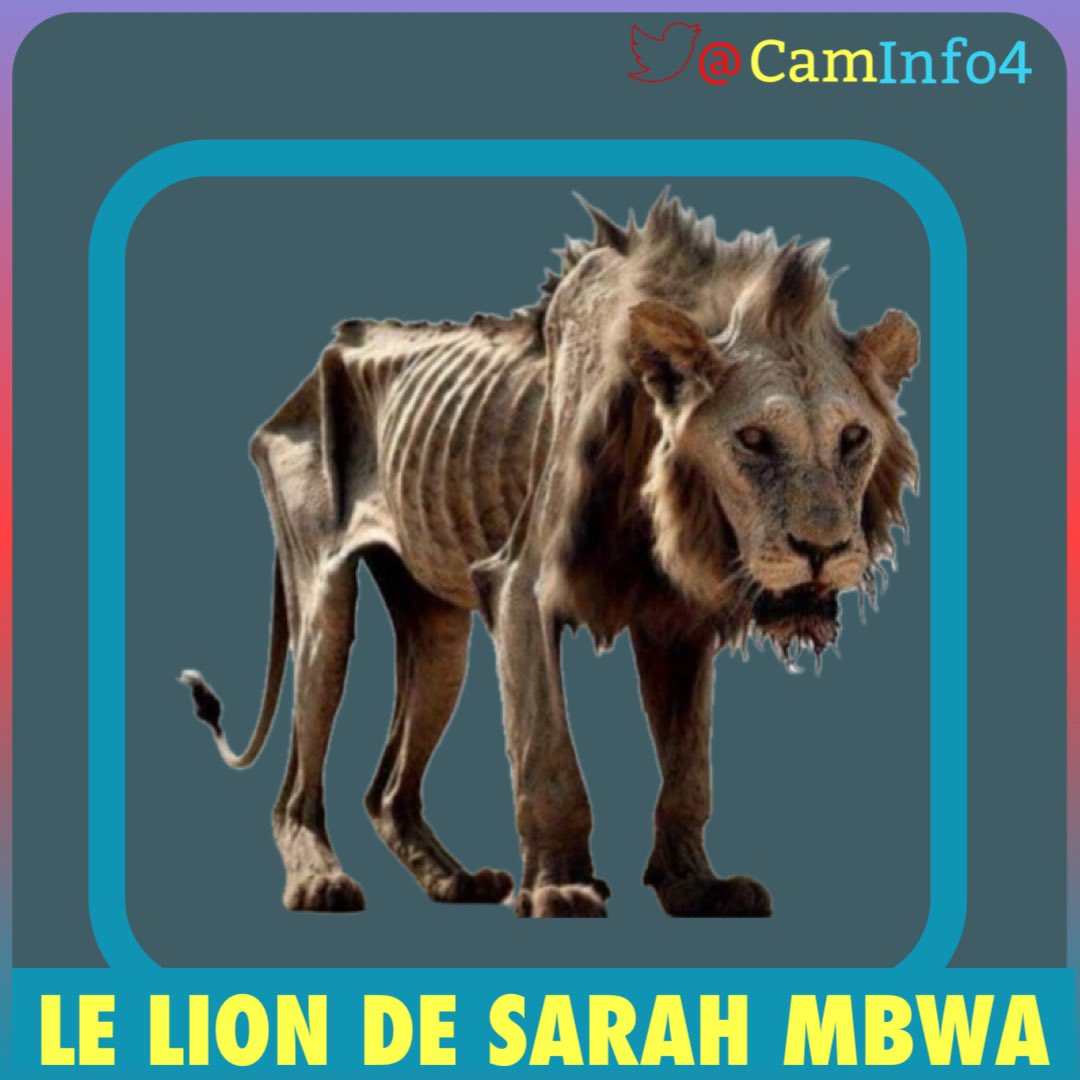 CamInfo4's tweet image. Cette fois, nous allons vous retrouver &amp;amp; vous capturer vivant