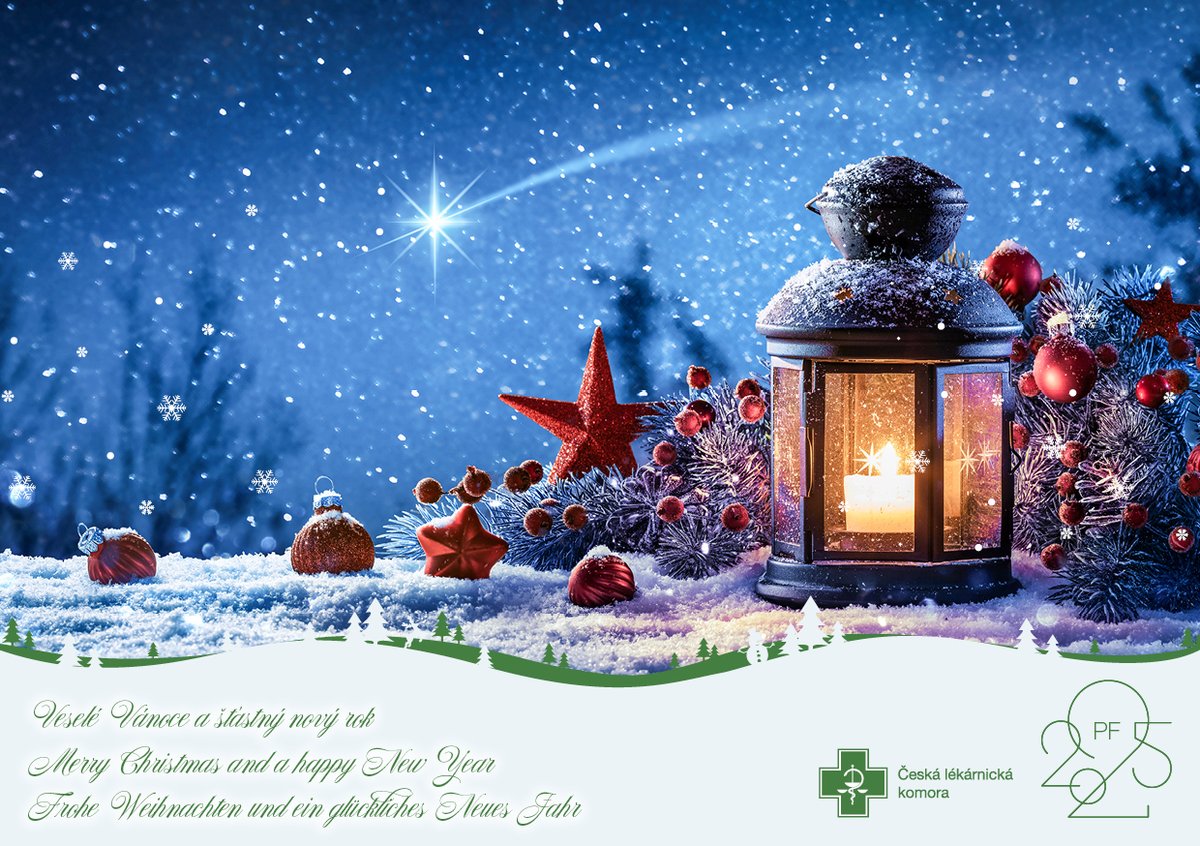 Přejeme vám všem klidné a radostné svátky, spoustu zdraví a úspěšný vstup do roku 2025! Ať je nový rok plný úsměvů, splněných přání a dobré pohody. 🌟
Všem farmaceutům patří obrovské poděkování za jejich péči, odbornost a každodenní nasazení, se kterým se věnují svým pacientům.