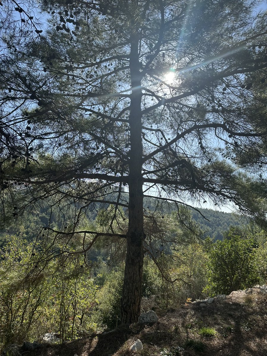 When the pain is deep, talk to God 🙏🏻