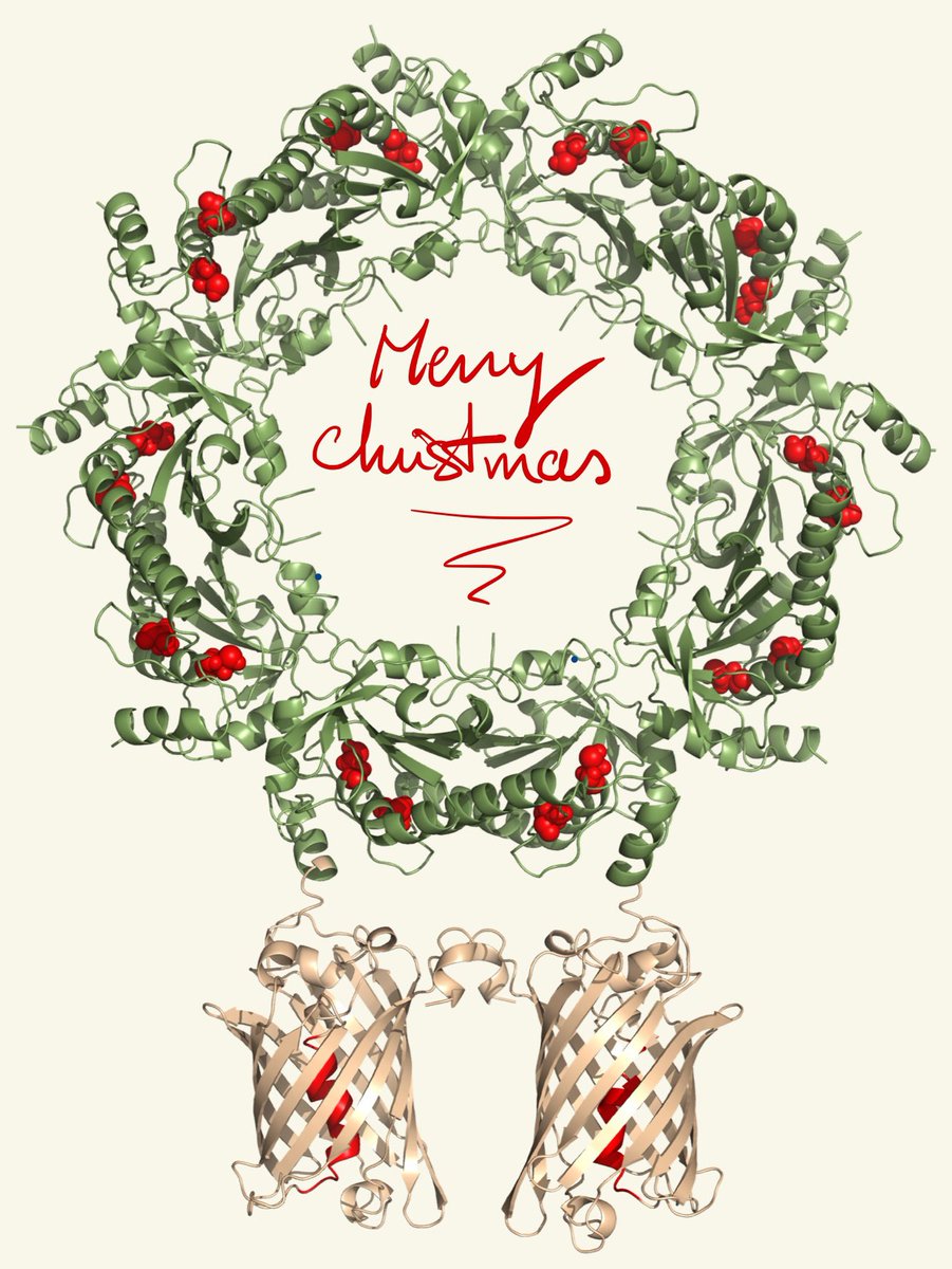 Messens Lab tweet media