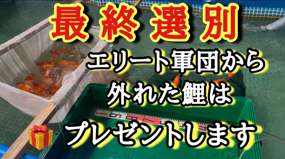 hiro68657332's tweet photo. こんばんは😊‼️
是非ご視聴お願いします🙇‍♂️
動画はこちらから💁 https://t.co/cR1U5VR6v6 https://t.co/AIJyaKvnUy