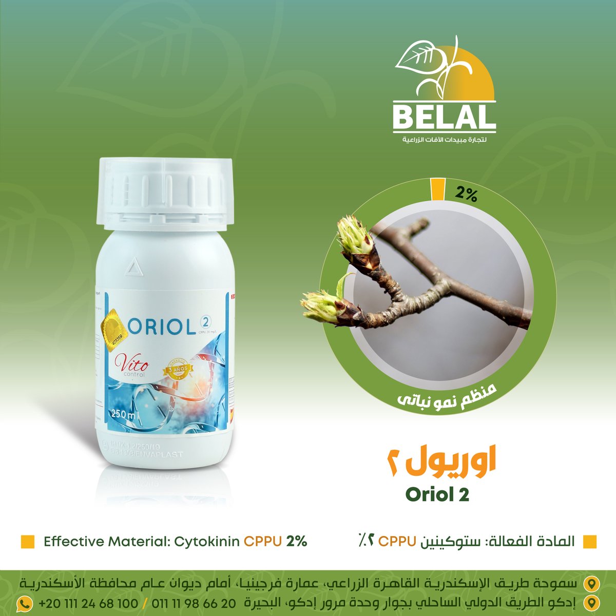 belalagro's tweet photo. #عزيزي_مزارع_البطاطس🥔 ..
للــتــحـــجــيـــم فــي الــعــــروة الــشــتــويــه للــبــطــاطــس بننصحك برش السيتوكينين الاقوي 💪
اوريول 2 - orioL 2 
دا وقته  ،  مع تمنياتنا بمحصول وفير 🌱 https://t.co/qp9IepkeXe
