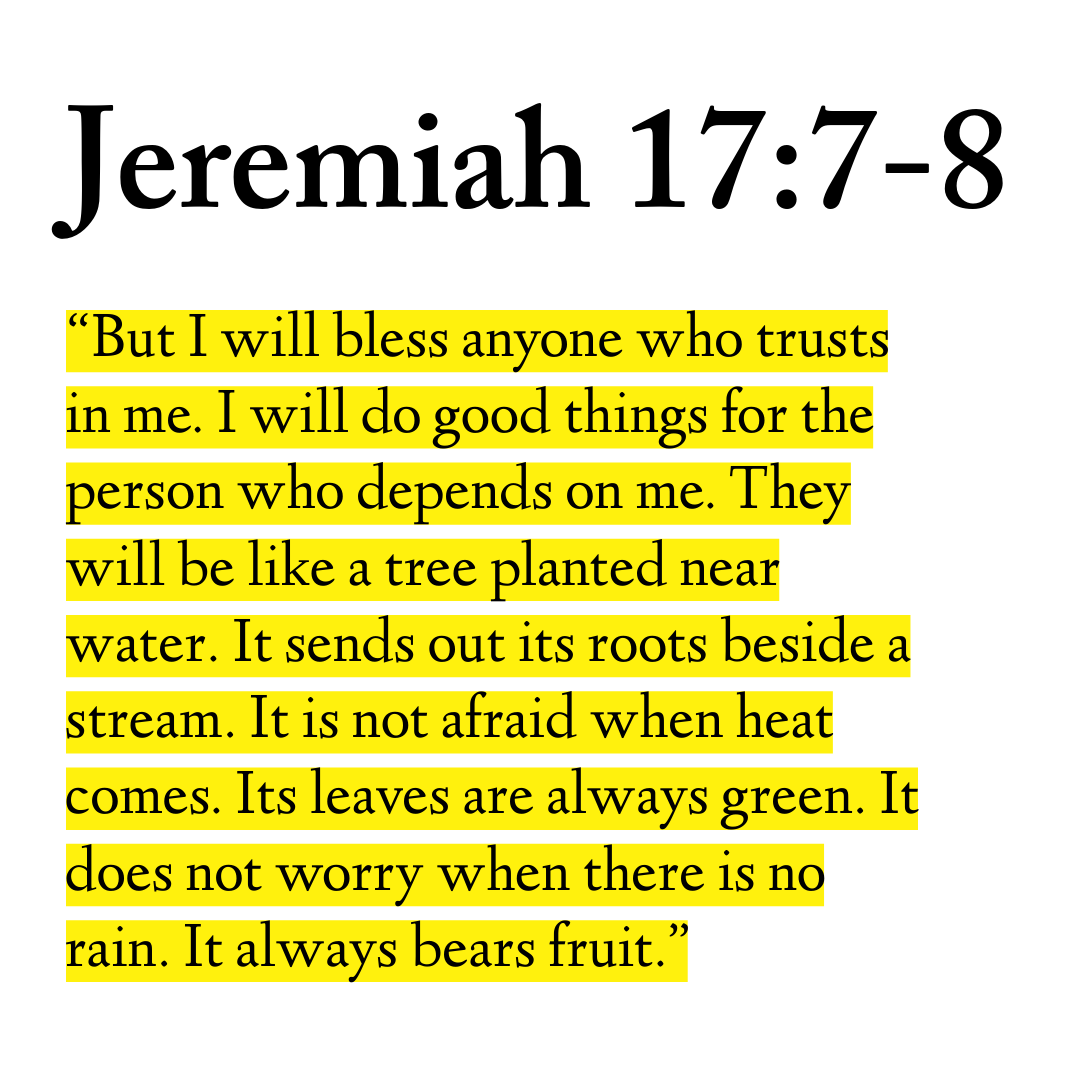 Holy Bible tweet media