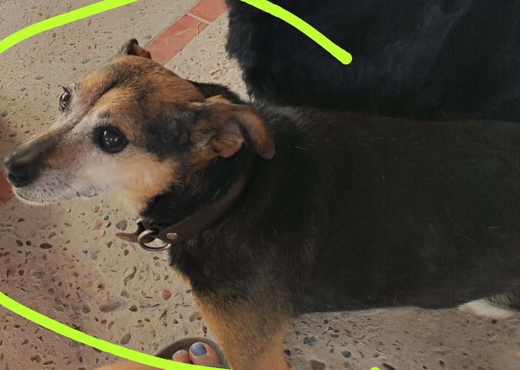 IRENE🌜 tweet media