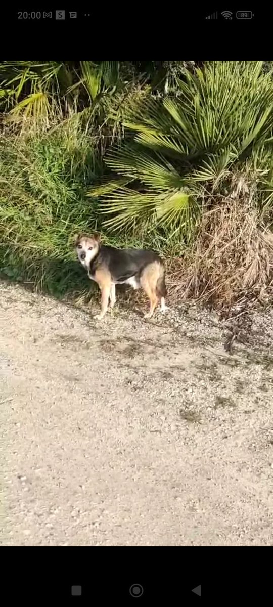 IRENE🌜 tweet media