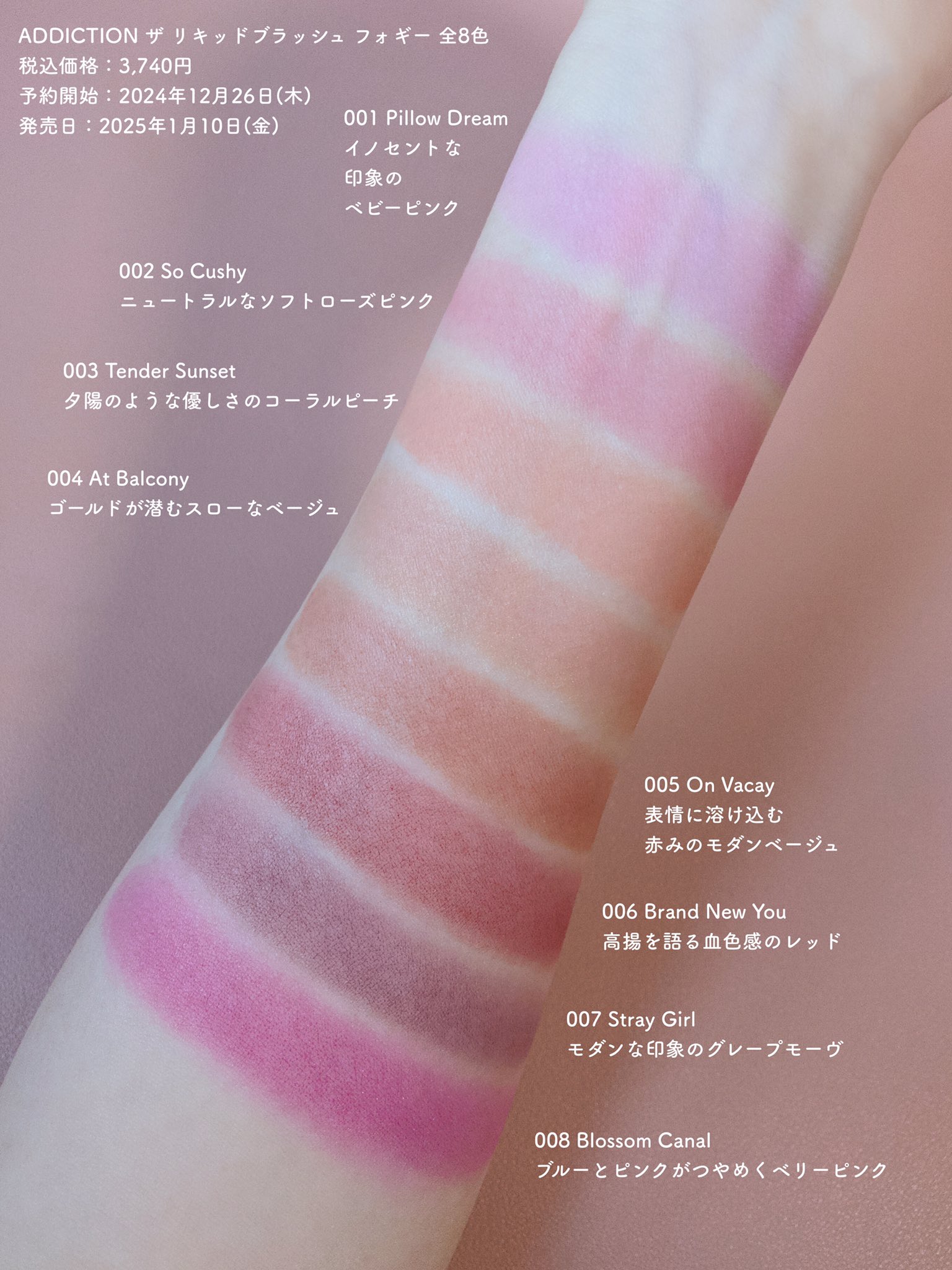 ADDICTIONアディクションリキッドブラッシュフォギー002So 整っ