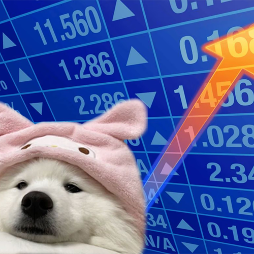 snowy__cto's tweet photo. nr 8 trending..ez

$SNOWY <3 https://t.co/re32K0TlgT