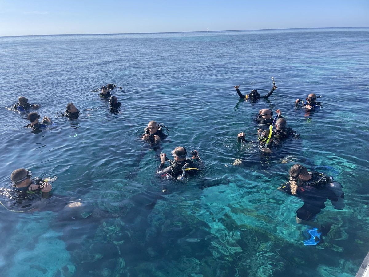 swingiton's tweet photo. Buceando en Yanbu, en una isla para nosotros solos en el Mar Rojo, What else? La vida es infinita 💙

#moonchaser #bebrave #nofear #nevergiveup #rebirth #conunasonrisaenelalma #marrojo #bucear #diving #redsea #KSA https://t.co/j0HMzf5FwY